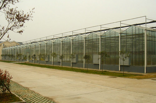 四川北川高科技農(nóng)業(yè)示范園玻璃溫室