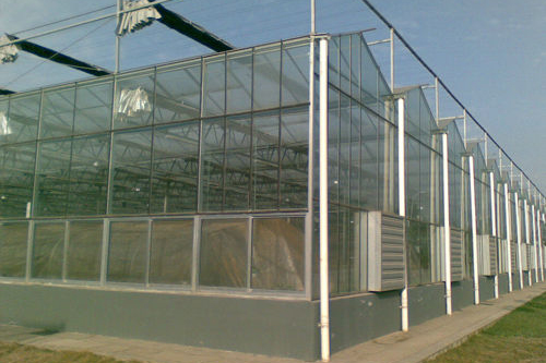 四川北川高科技農(nóng)業(yè)示范園玻璃溫室