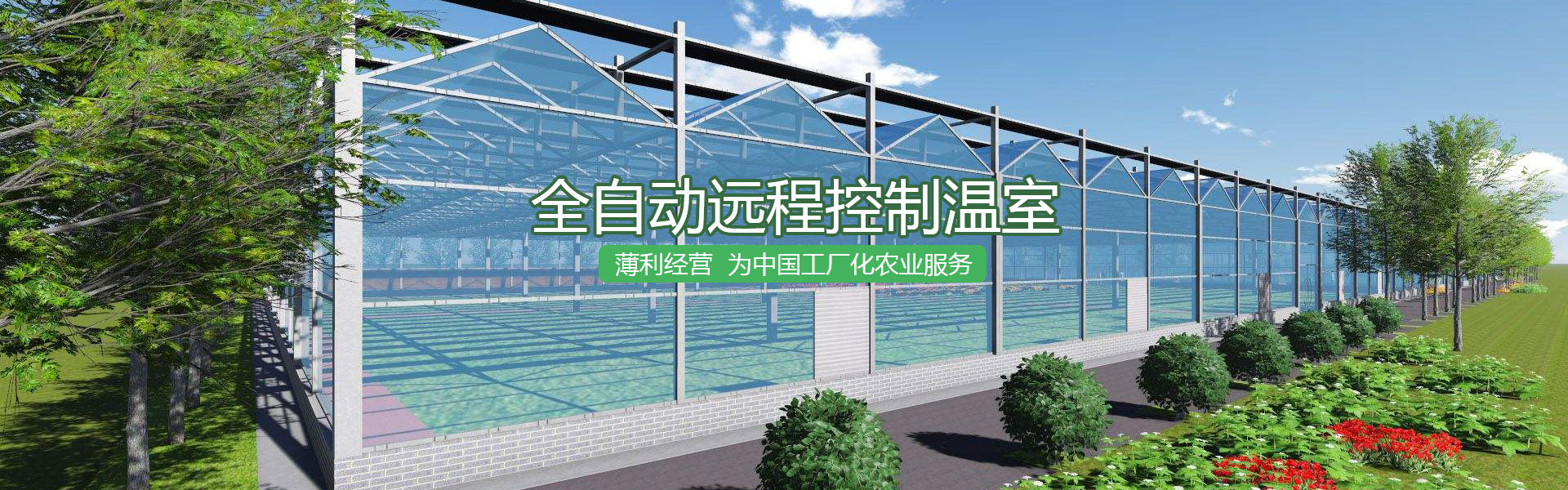 溫室大棚建設(shè)
