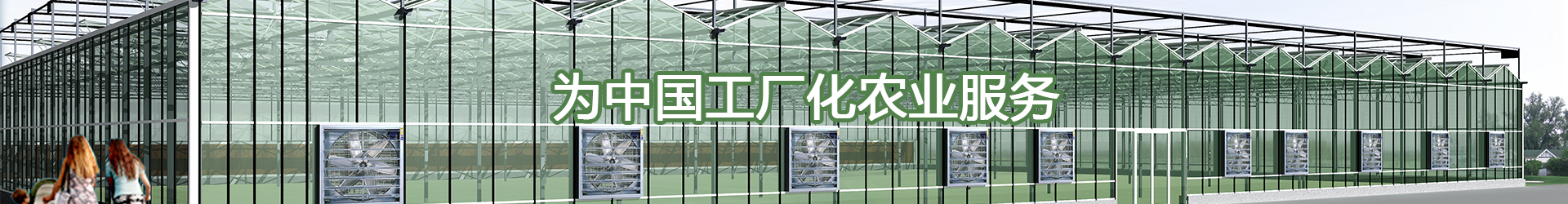 溫室大棚建設(shè)